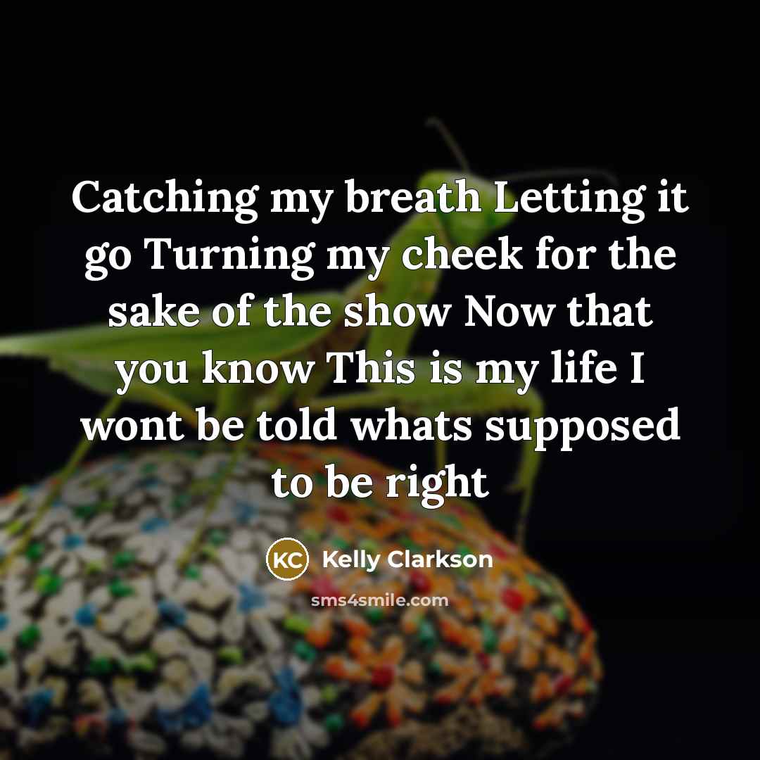“Catching my breath Letting it go Turning my cheek for the sake of the show Now that you know This is my life I wont be told whats supposed to be right” quote by Kelly Clarkson