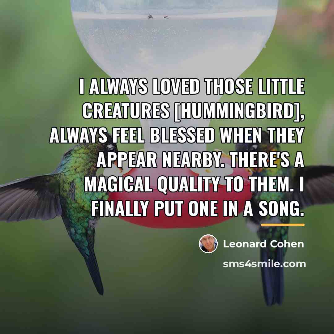 “I always loved those little creatures [hummingbird], always feel blessed…” quote by Leonard Cohen