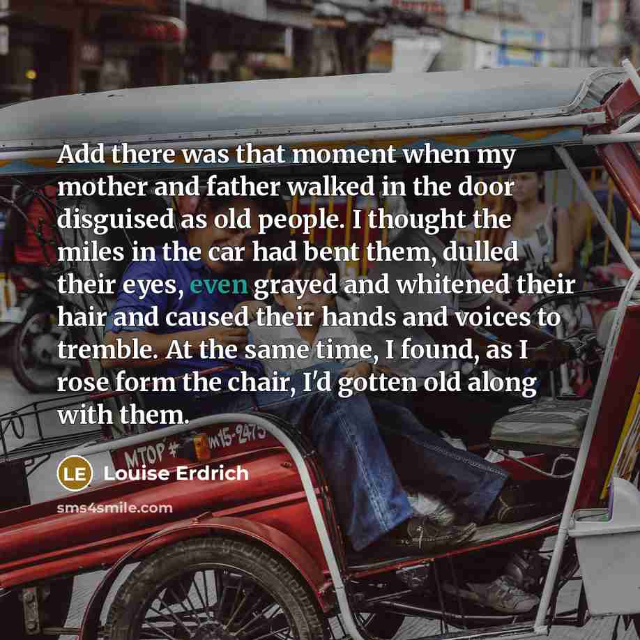 “Add there was that moment when my mother and father…” quote by Louise Erdrich