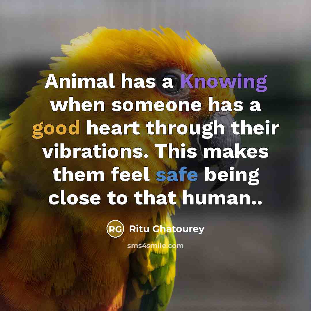“Animal has a Knowing when someone has a good heart through their vibrations. This makes them feel safe being close to that human..” quote by Ritu Ghatourey