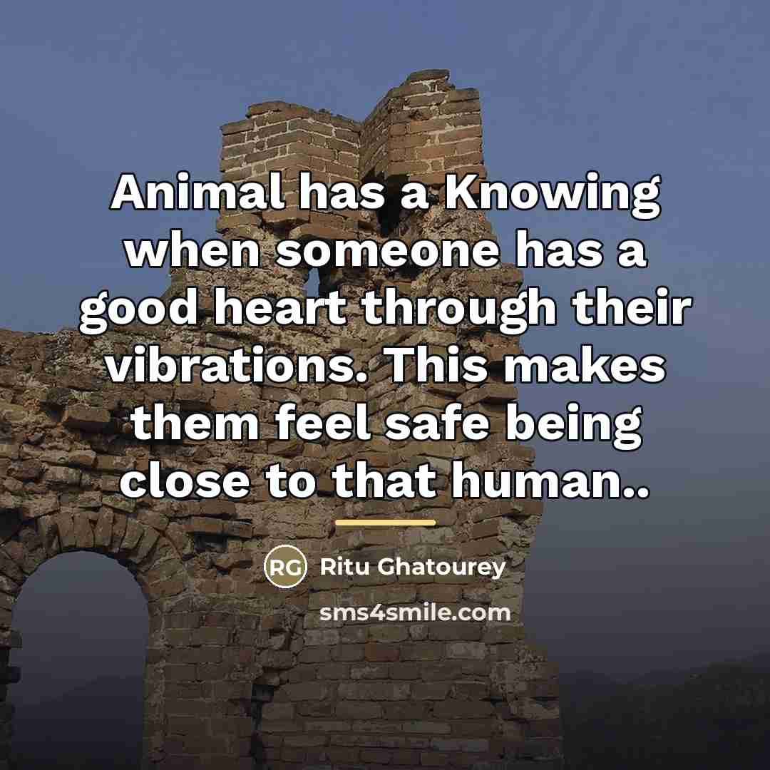 “Animal has a Knowing when someone has a good heart…” quote by Ritu Ghatourey