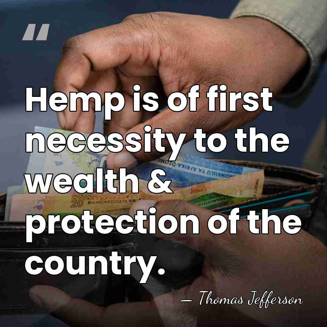 Hemp is of first necessity to the wealth & protection of the&hellip; - Thomas Jefferson