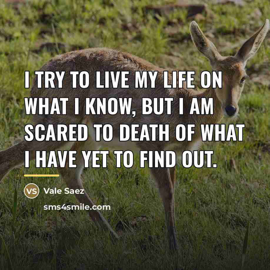 “I try to live my life on what I know,…” quote by Vale Saez