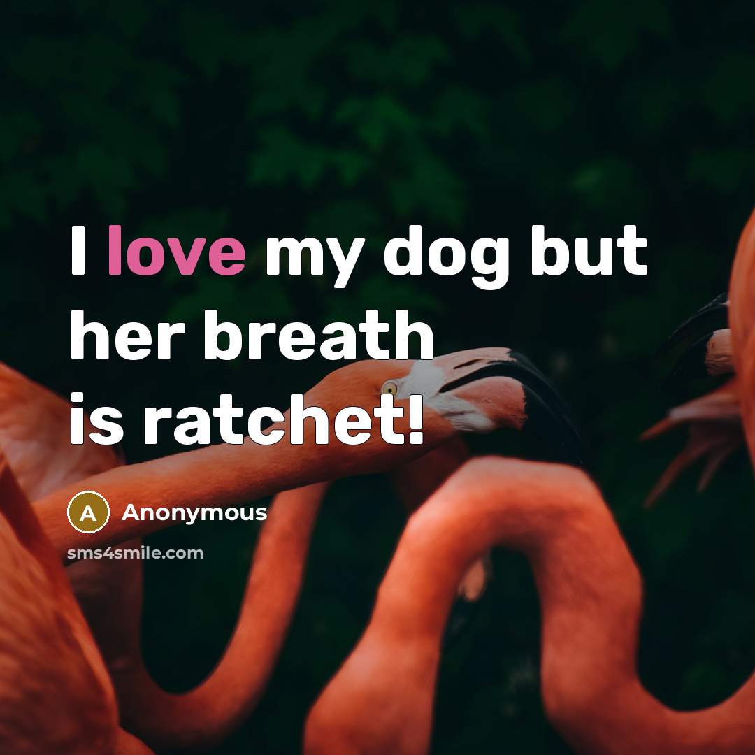 “I love my dog but her breath is ratchet!” quote by Anonymous