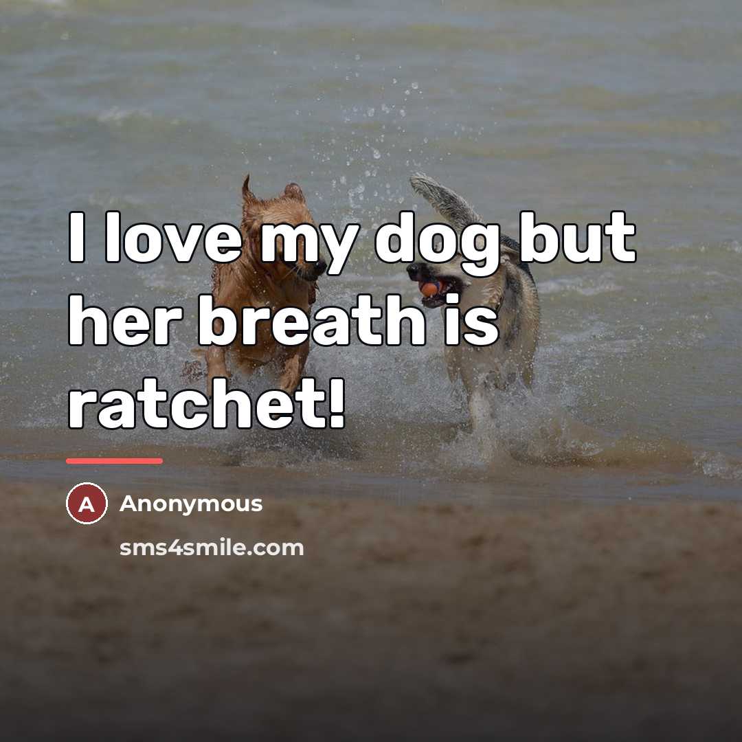 “I love my dog but her breath is ratchet!…” quote by Anonymous