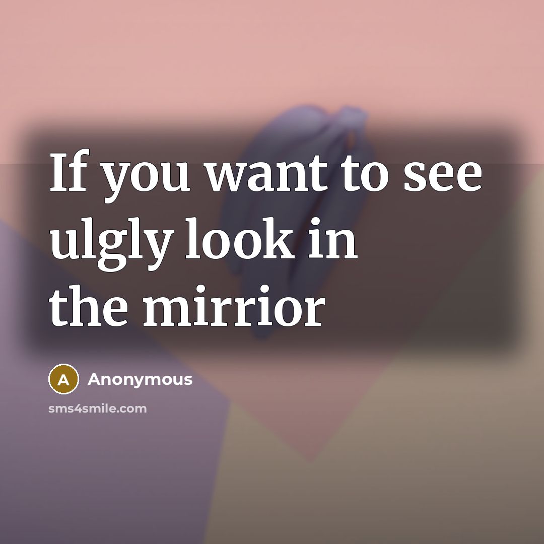 “If you want to see ulgly look in the mirrior…” quote by Anonymous