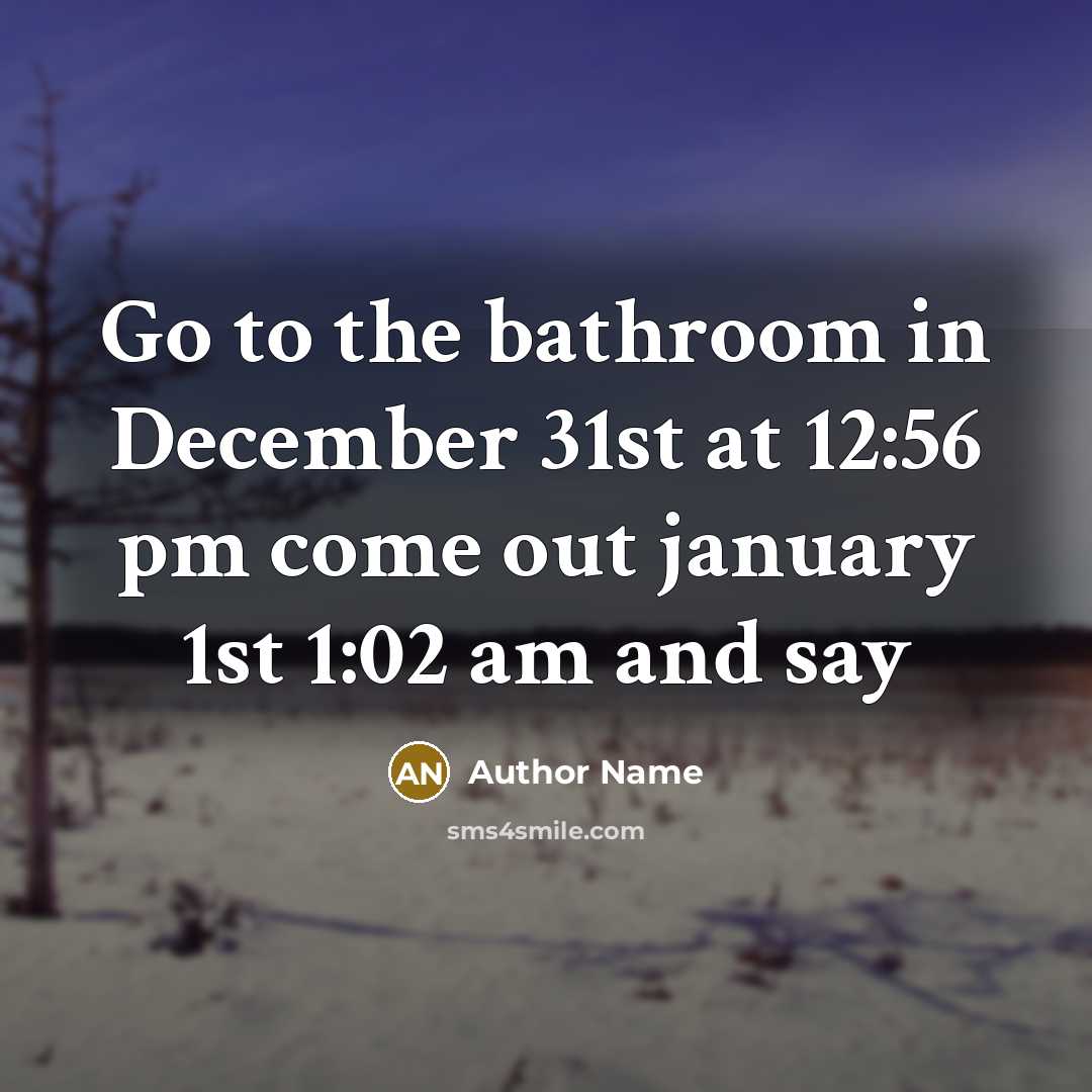 “Go to the bathroom in December 31st at 12:56 pm come out january 1st 1:02 am and say” quote by Author Name