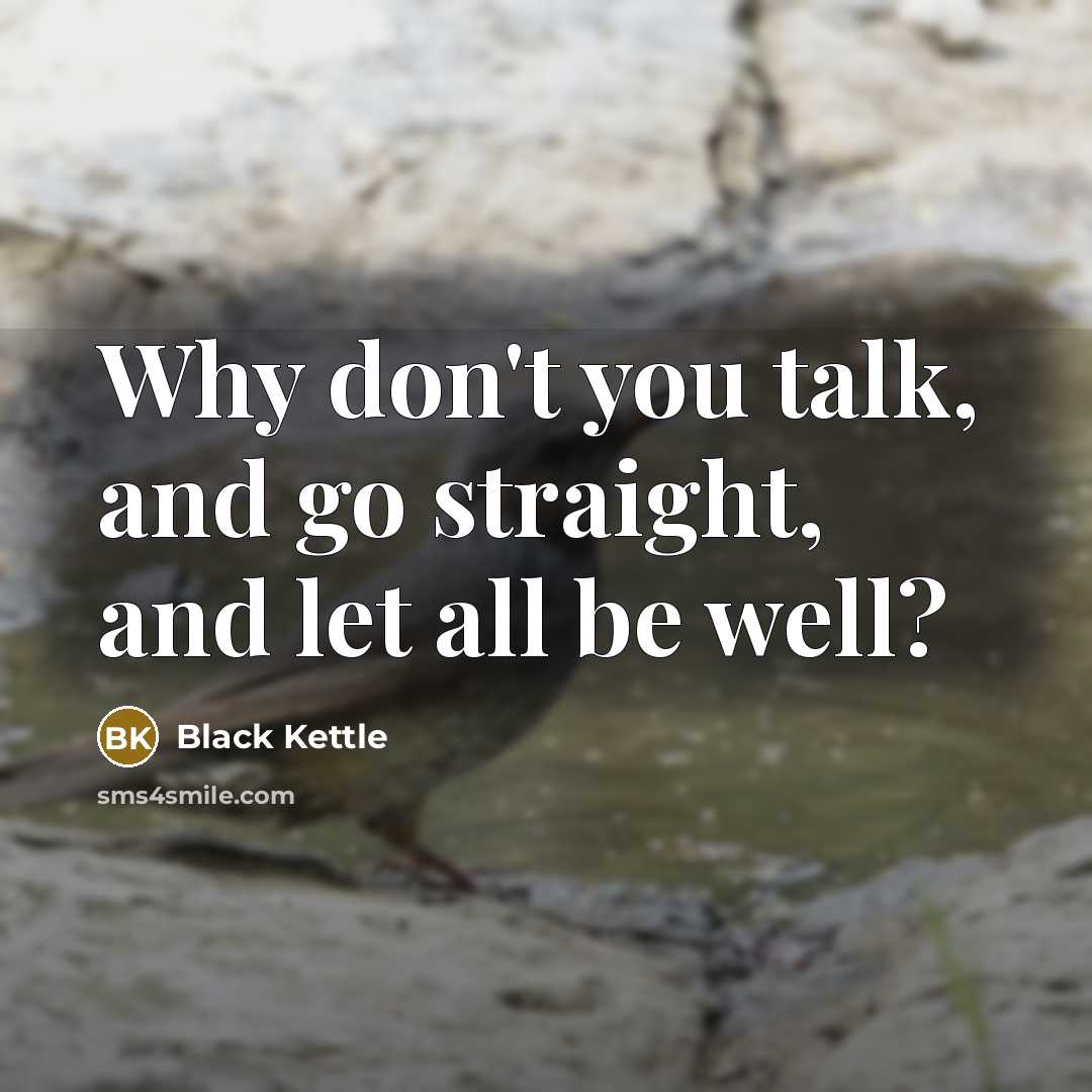 “Why don't you talk, and go straight, and let all…” quote by Black Kettle