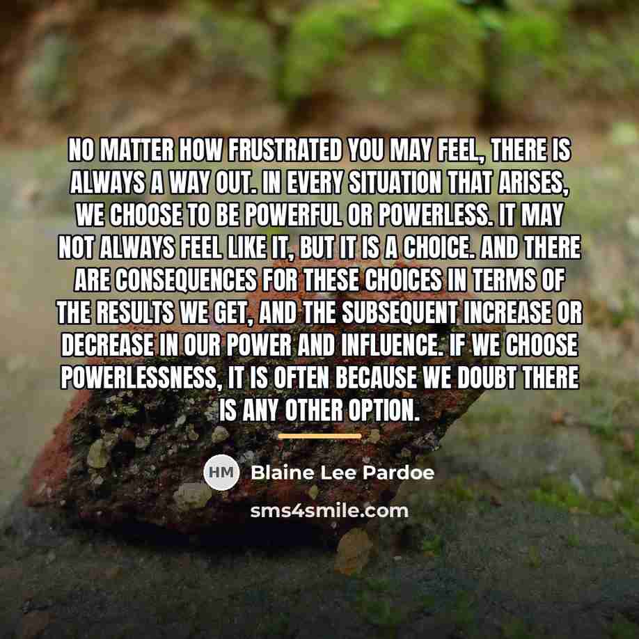 “No matter how frustrated you may feel, there is always…” quote by Blaine Lee Pardoe