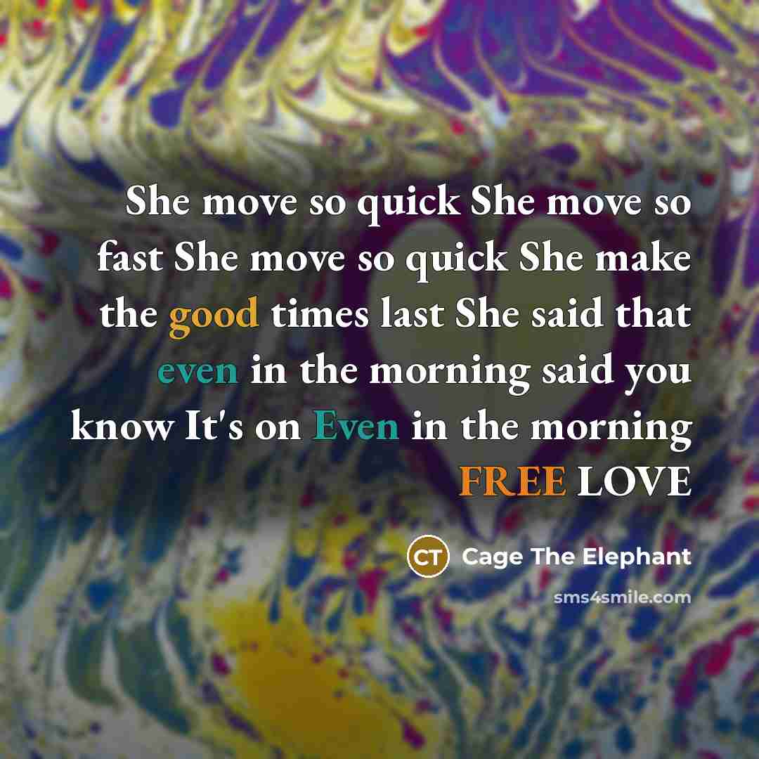 “She move so quick She move so fast She move so quick She make the good times last She said that even in the morning said you know It's on Even in the morning FREE LOVE” quote by Cage The Elephant
