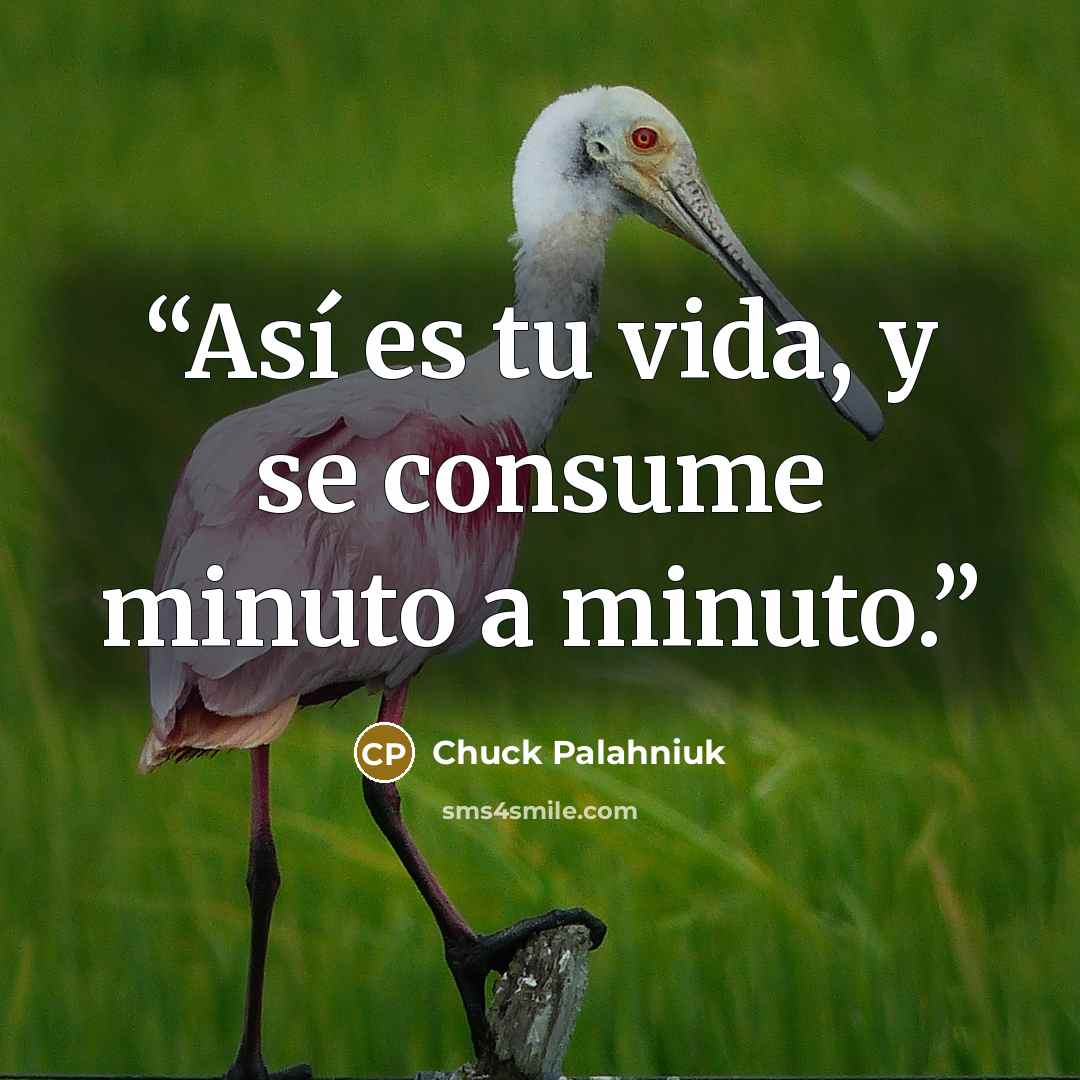 “Así es tu vida, y se consume minuto a minuto.” quote by Chuck Palahniuk
