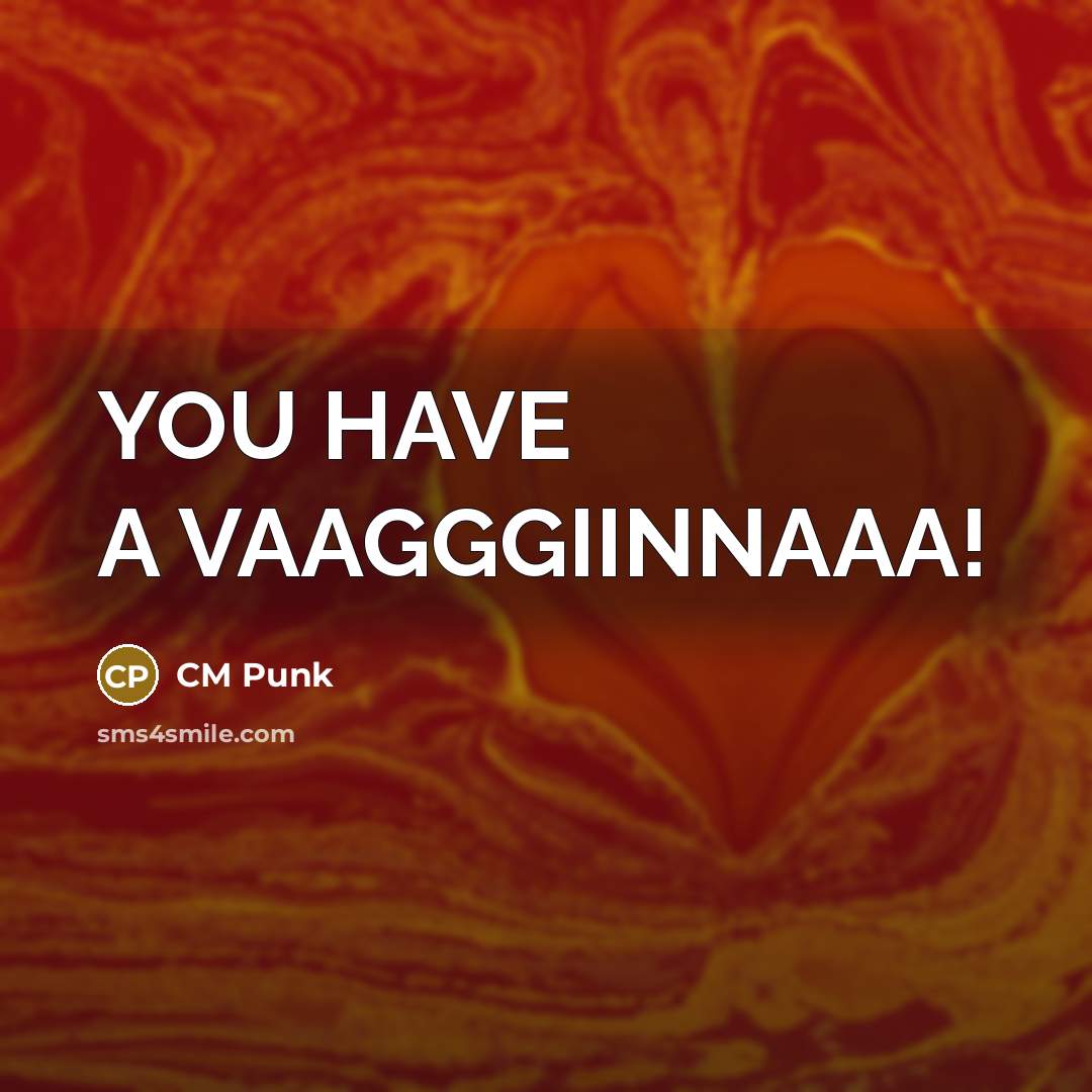 “YOU HAVE A VAAGGGIINNAAA!…” quote by CM Punk