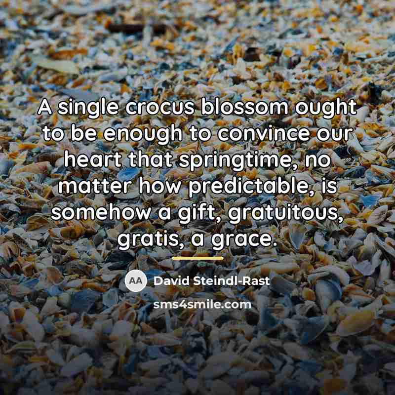 “A single crocus blossom ought to be enough to convince…” quote by David Steindl-Rast