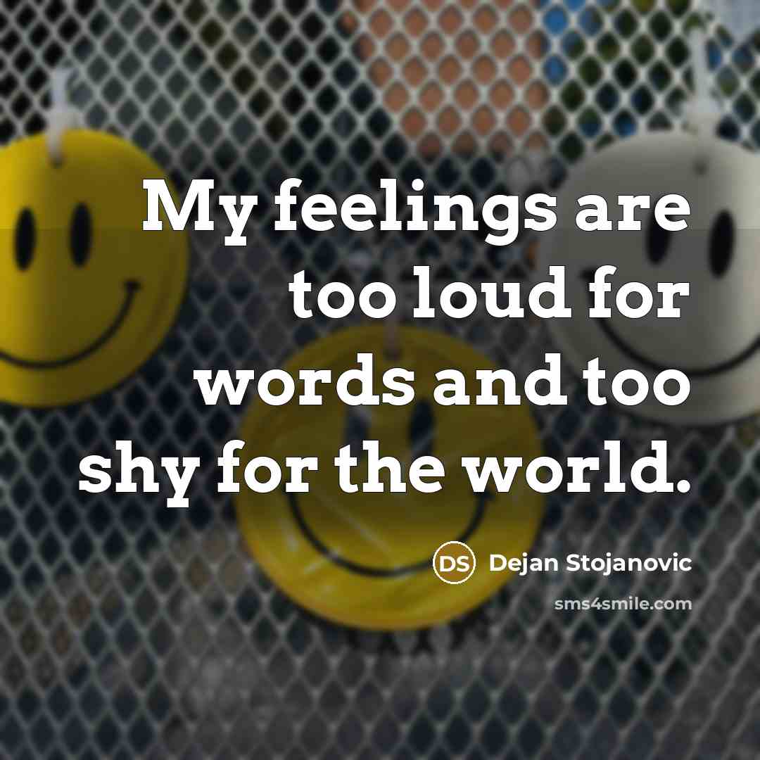“My feelings are too loud for words and too shy…” quote by Dejan Stojanovic