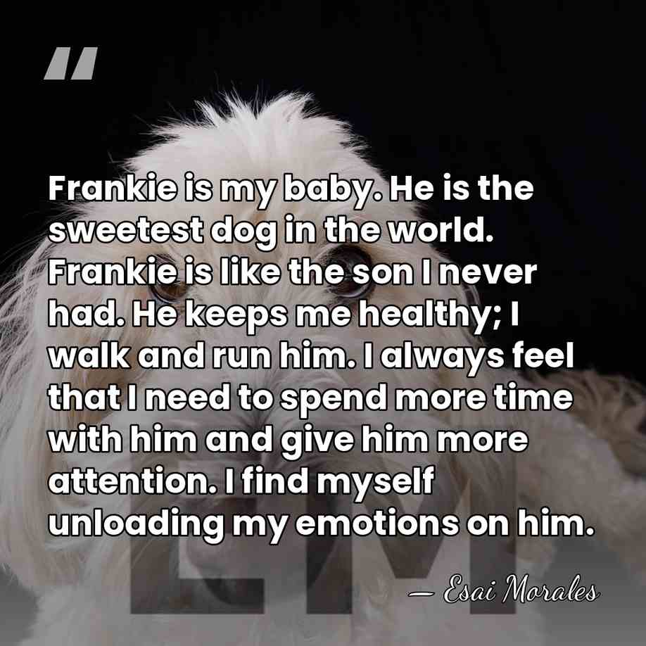 Frankie is my baby. He is the sweetest dog in the world.&hellip; - Esai Morales