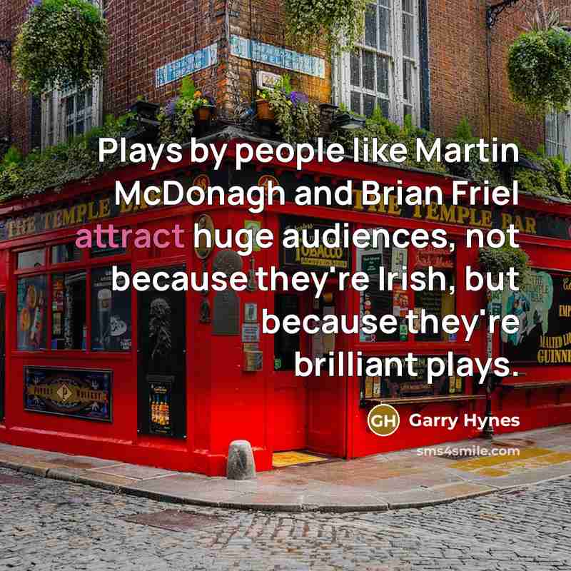 “Plays by people like Martin McDonagh and Brian Friel attract…” quote by Garry Hynes