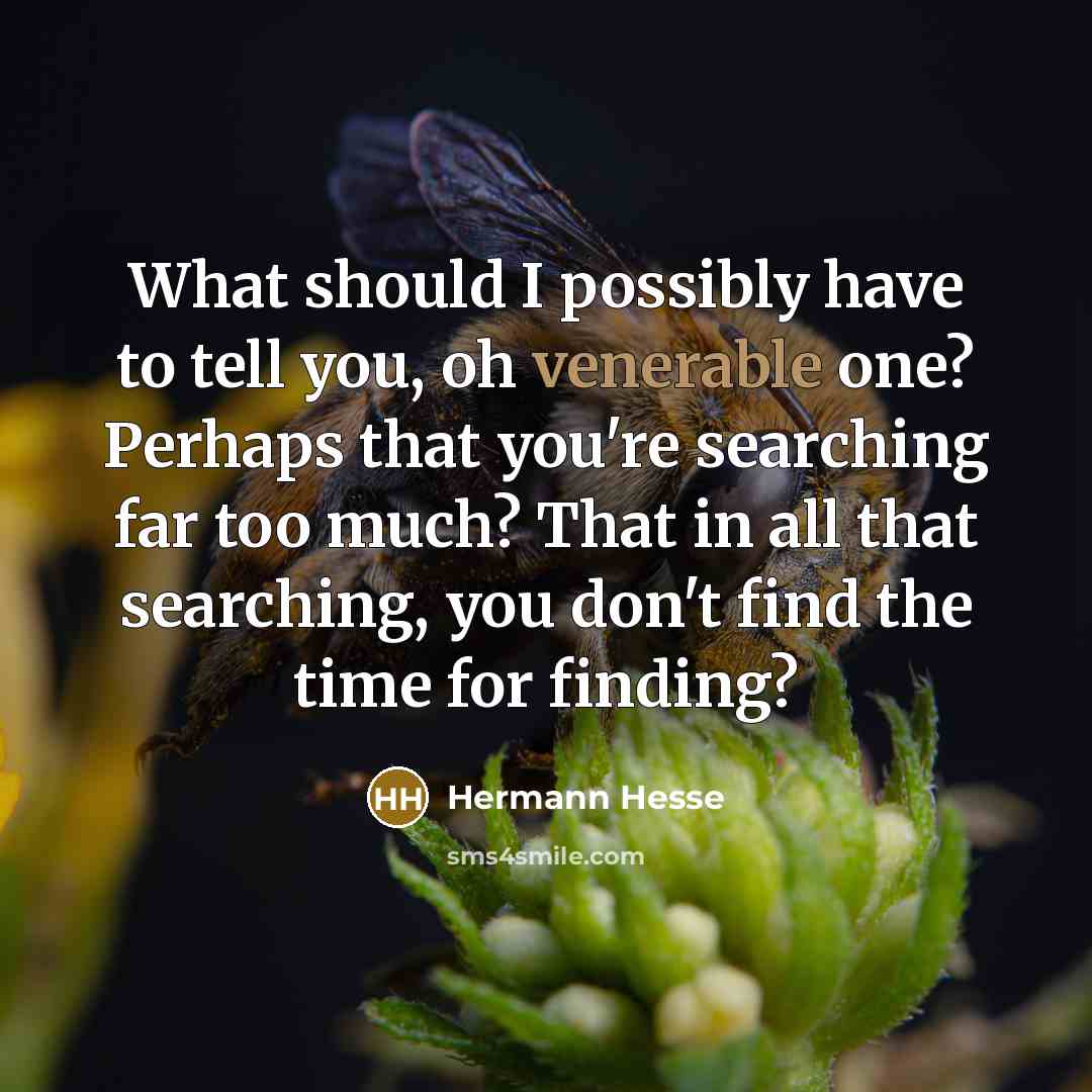 “What should I possibly have to tell you, oh venerable…” quote by Hermann Hesse