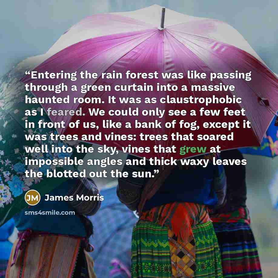 “Entering the rain forest was like passing through a green curtain into a massive haunted room. It was as claustrophobic as I feared. We could only see a few feet in front of us, like a bank of fog, except it was trees and vines: trees that soared well into the sky, vines that grew at impossible…” quote by James Morris