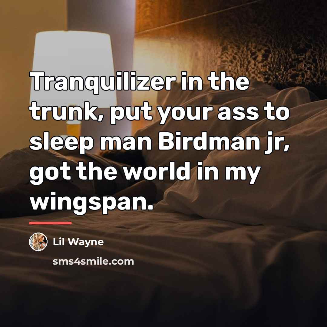 “Tranquilizer in the trunk, put your ass to sleep man…” quote by Lil Wayne