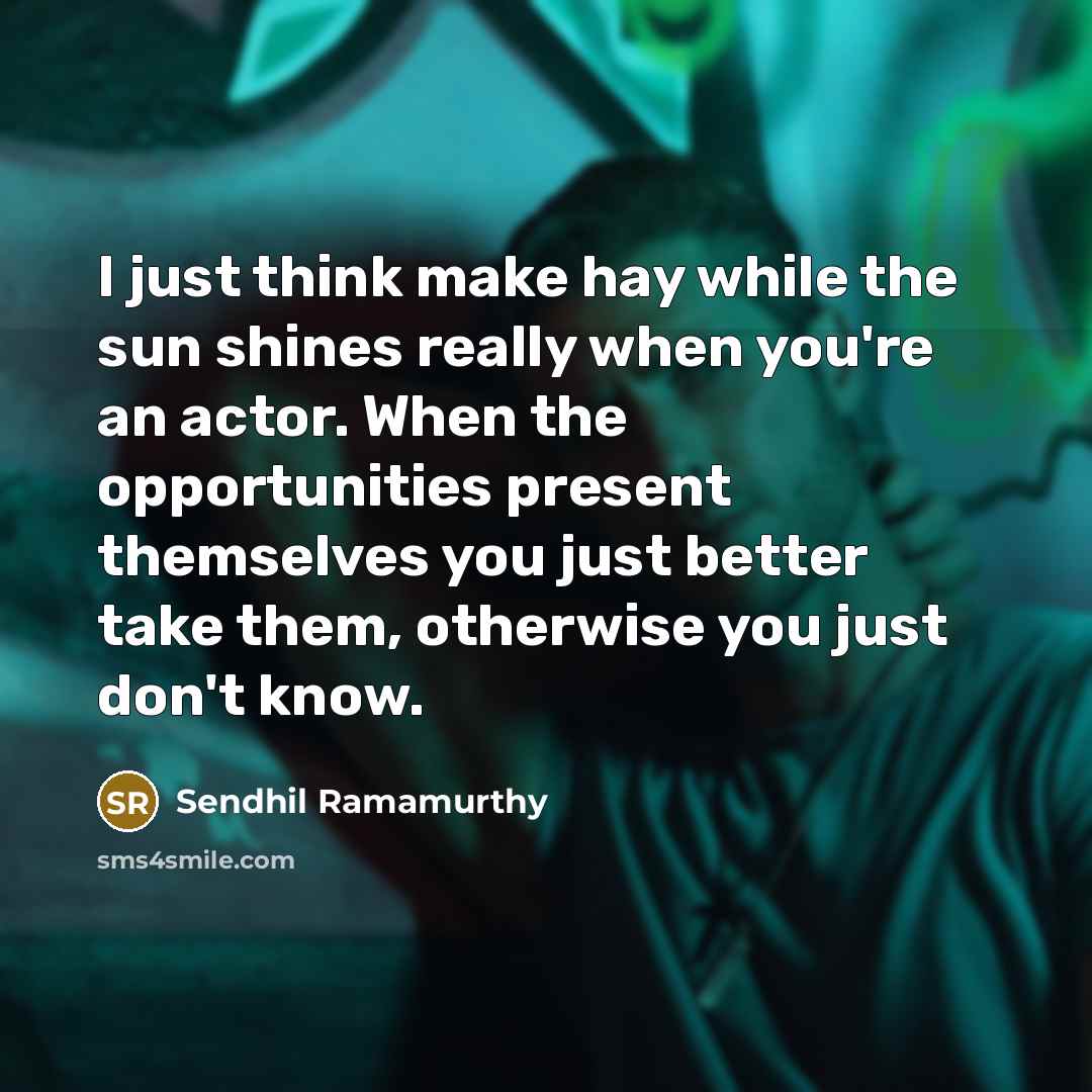 “I just think make hay while the sun shines really…” quote by Sendhil Ramamurthy