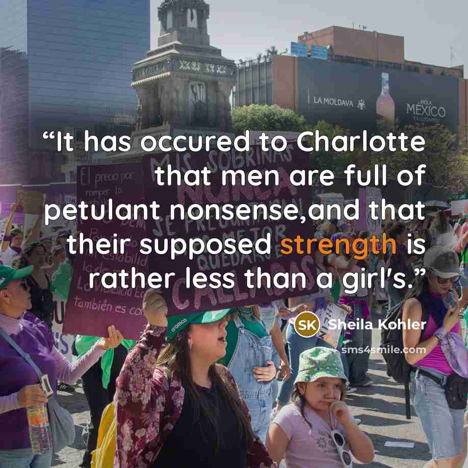 “It has occured to Charlotte that men are full of petulant nonsense,and that their supposed strength is rather less than a girl's.” quote by Sheila Kohler