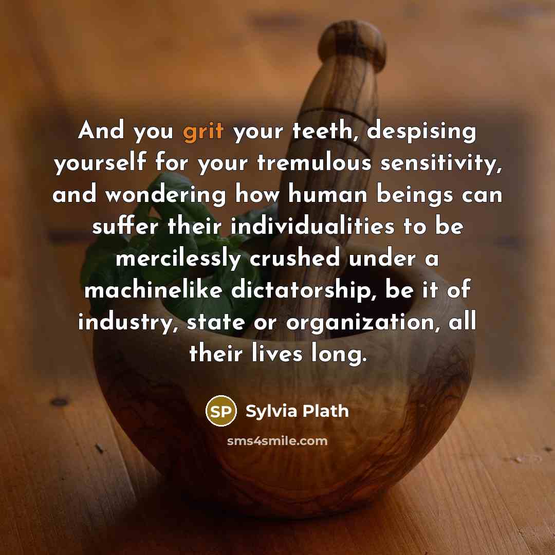 “And you grit your teeth, despising yourself for your tremulous…” quote by Sylvia Plath