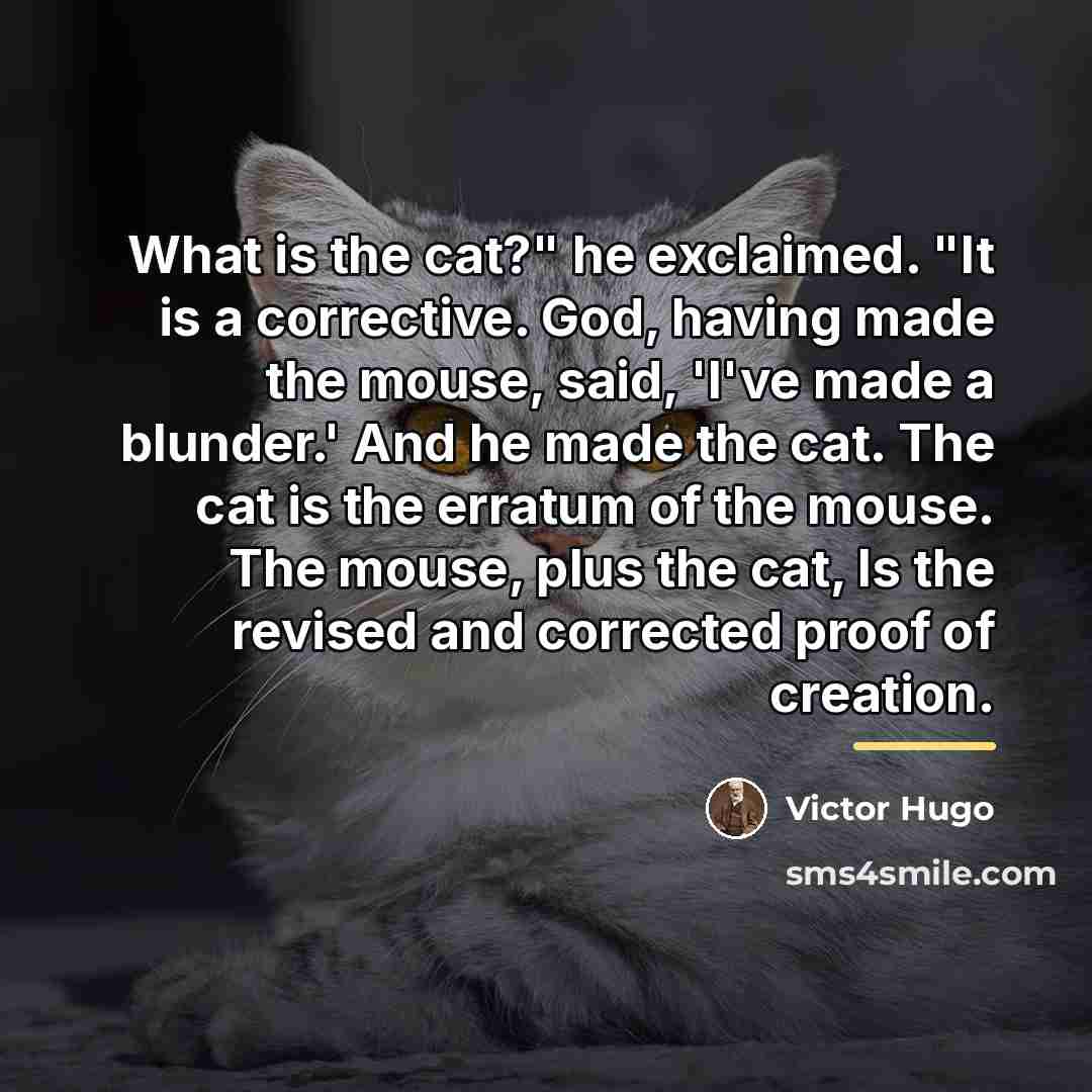 “What is the cat?" he exclaimed. "It is a corrective.…” quote by Victor Hugo