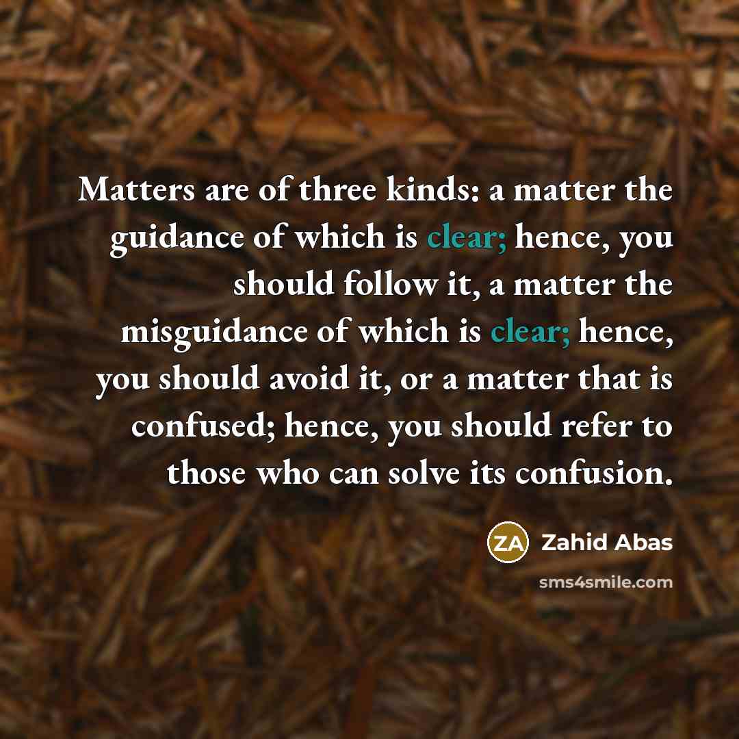 “Matters are of three kinds: a matter the guidance of…” quote by Zahid Abas