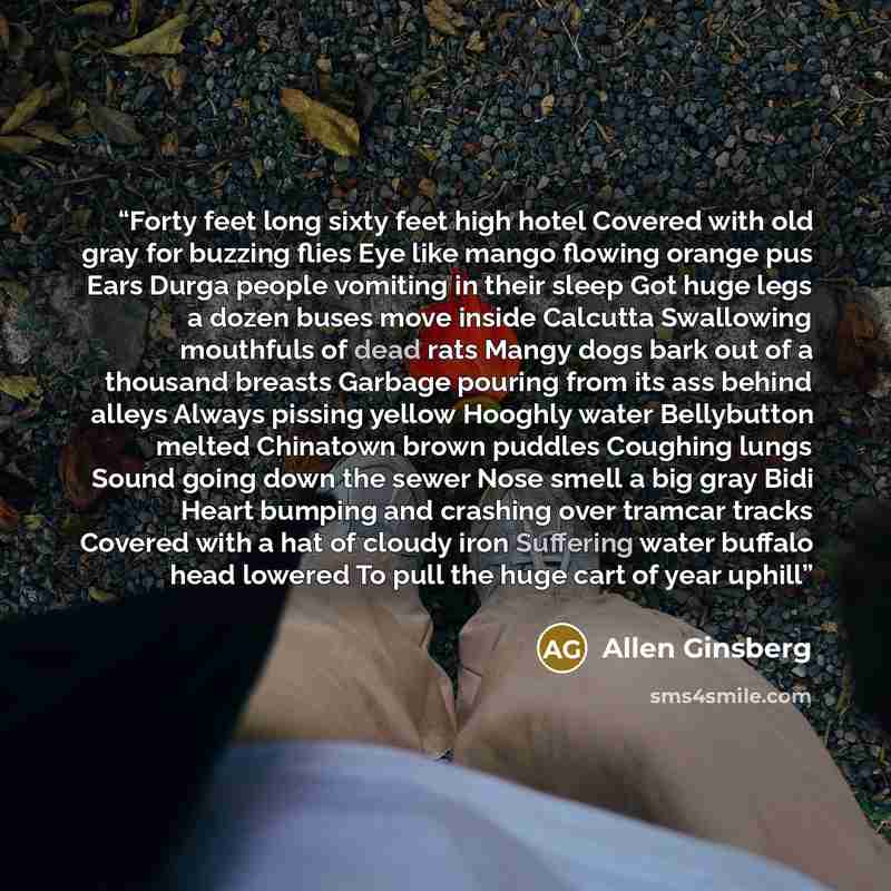 “Forty feet long sixty feet high hotel Covered with old gray for buzzing flies Eye like mango flowing orange pus Ears Durga people vomiting in their sleep Got huge legs a dozen buses move inside Calcutta Swallowing mouthfuls of dead rats Mangy dogs bark out of a thousand breasts Garbage pouring…” quote by Allen Ginsberg