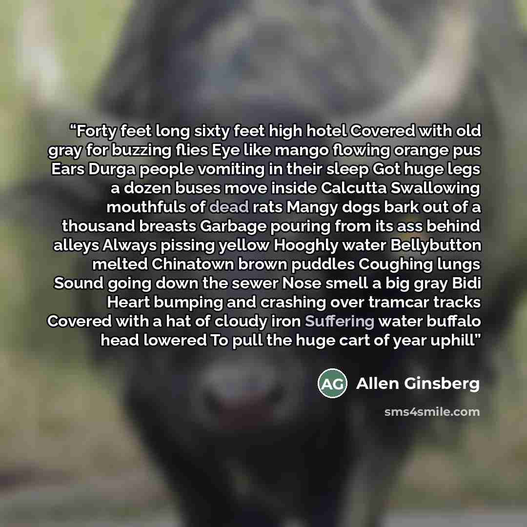 “Forty feet long sixty feet high hotel Covered with old gray for buzzing flies Eye like mango flowing orange pus Ears Durga people vomiting in their sleep Got huge legs a dozen buses move inside Calcutta Swallowing mouthfuls of dead rats Mangy dogs bark out of a thousand breasts Garbage pouring…” quote by Allen Ginsberg