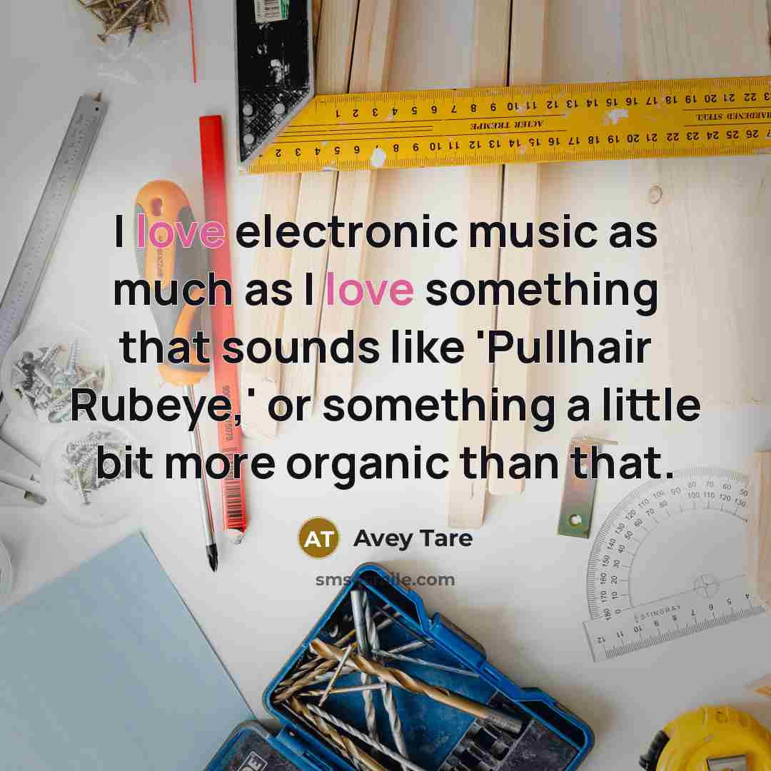“I love electronic music as much as I love something…” quote by Avey Tare