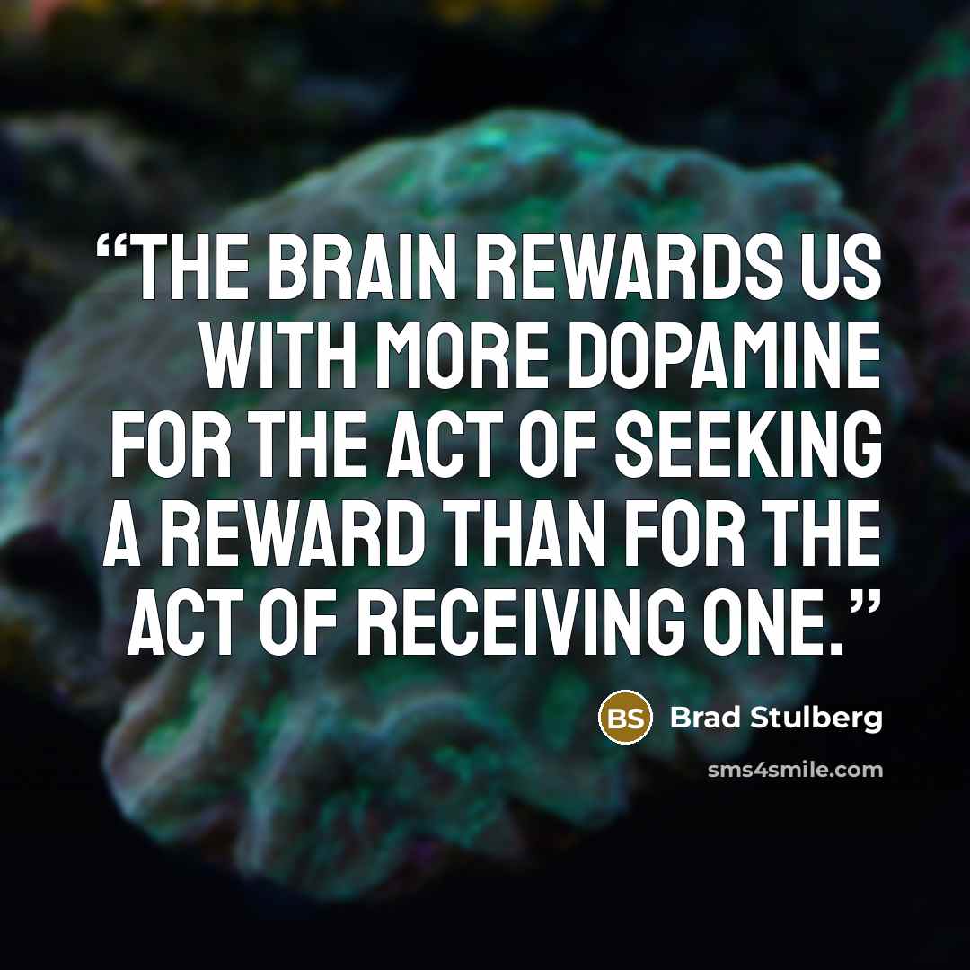 “the brain rewards us with more dopamine for the act of seeking a reward than for the act of receiving one.” quote by Brad Stulberg