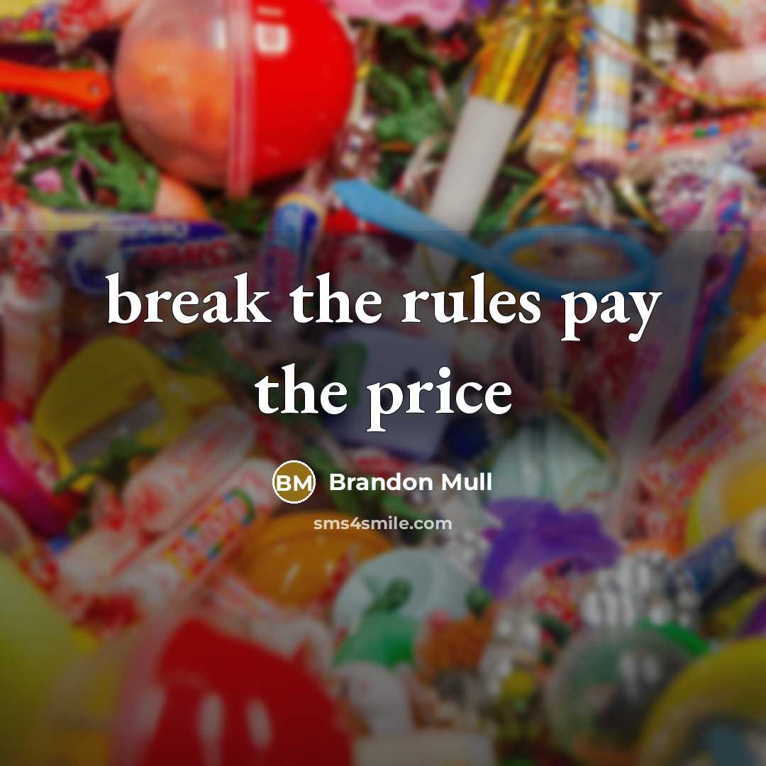 “break the rules pay the price…” quote by Brandon Mull