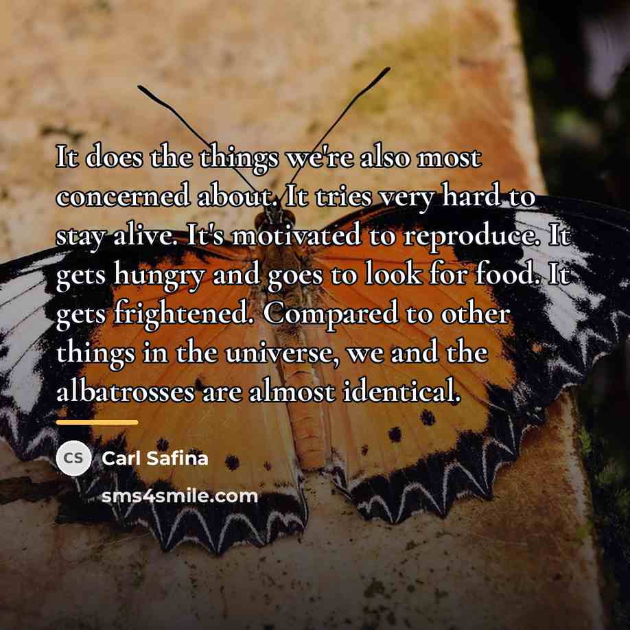 “It does the things we're also most concerned about. It…” quote by Carl Safina