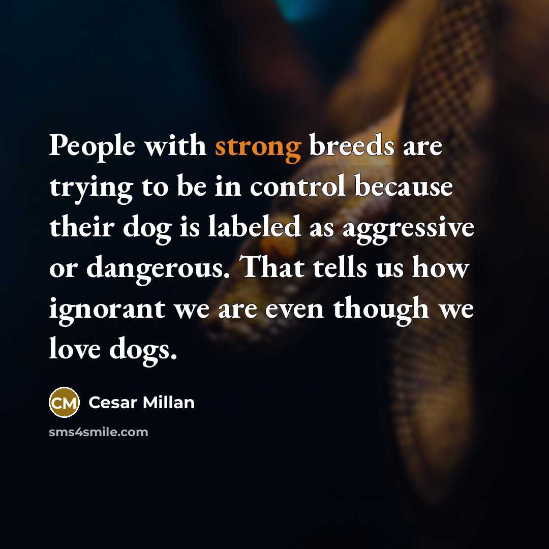 “People with strong breeds are trying to be in control…” quote by Cesar Millan