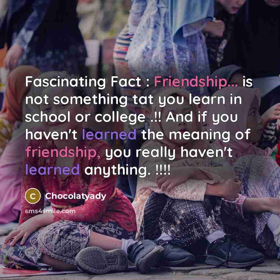 “Fascinating Fact : Friendship... is not something tat you learn…” quote by Chocolatyady