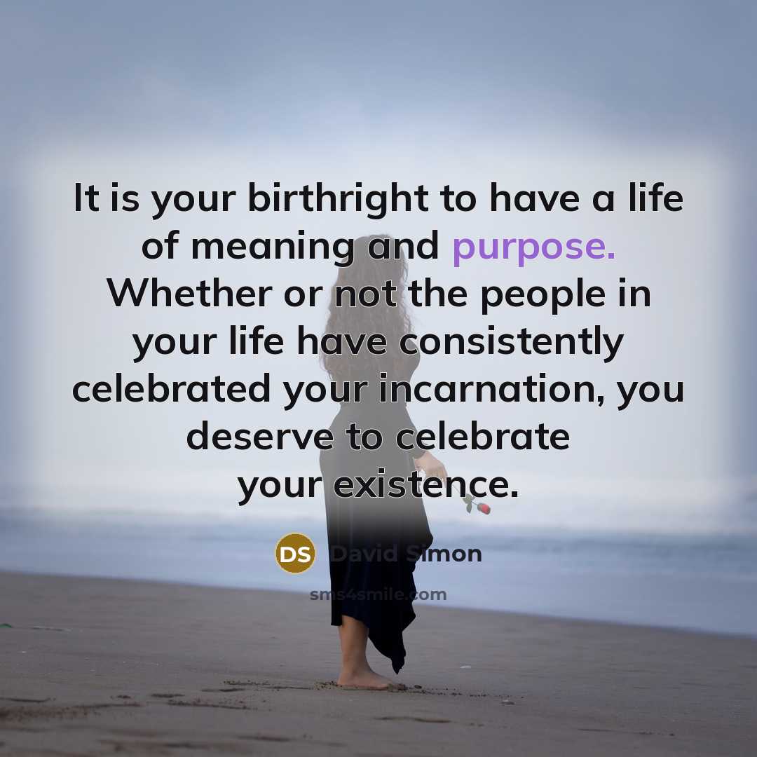 “It is your birthright to have a life of meaning…” quote by David Simon