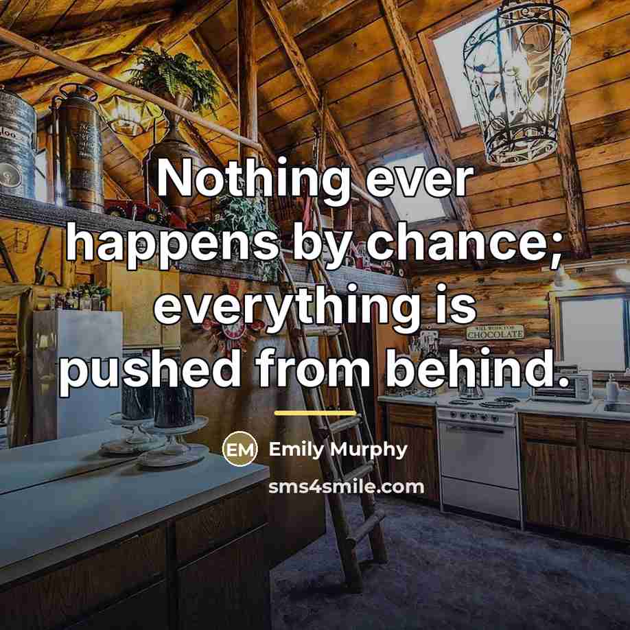 “Nothing ever happens by chance; everything is pushed from behind.…” quote by Emily Murphy