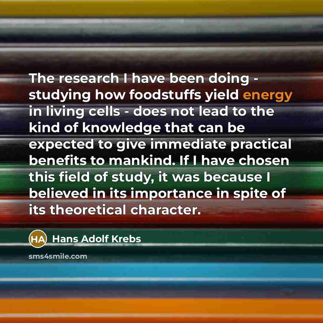 “The research I have been doing - studying how foodstuffs…” quote by Hans Adolf Krebs