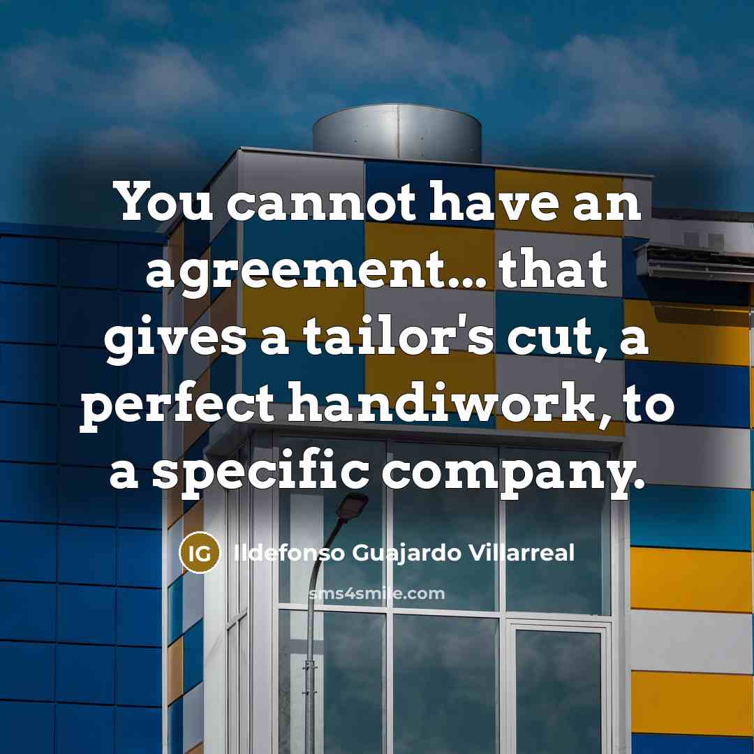 “You cannot have an agreement... that gives a tailor's cut,…” quote by Ildefonso Guajardo Villarreal