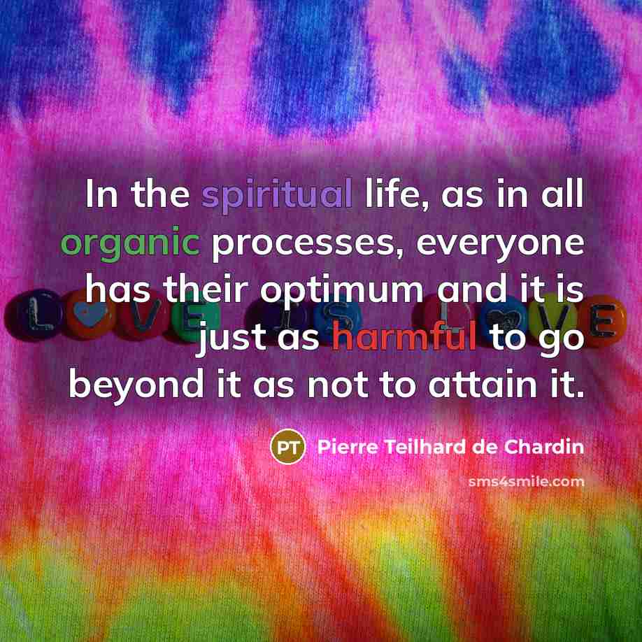 “In the spiritual life, as in all organic processes, everyone has their optimum and it is just as harmful to go beyond it as not to attain it.” quote by Pierre Teilhard de Chardin