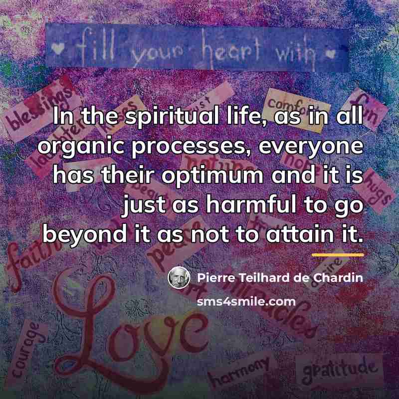 “In the spiritual life, as in all organic processes, everyone…” quote by Pierre Teilhard de Chardin