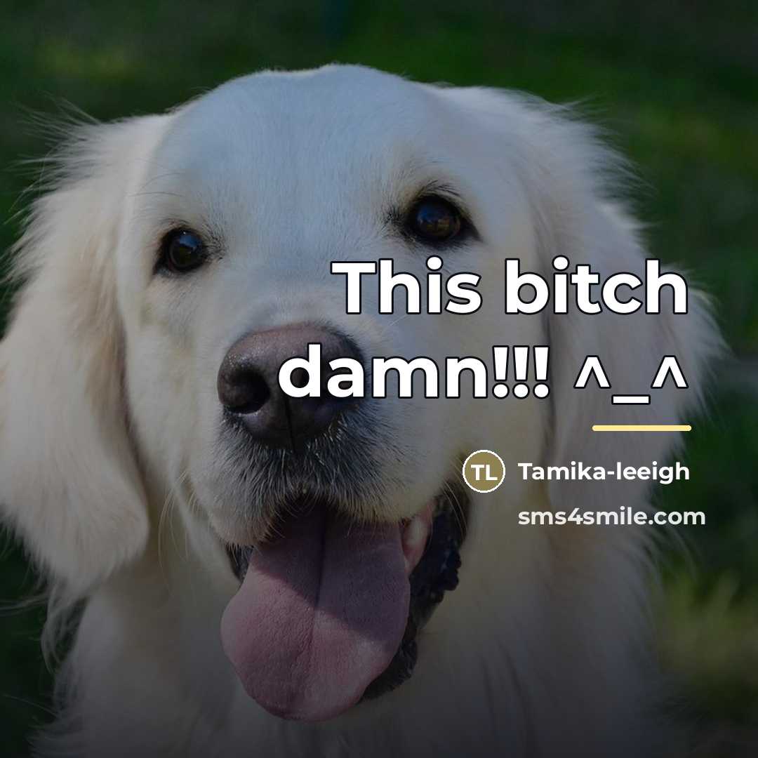 “This bitch damn!!! ^_^…” quote by Tamika-leeigh