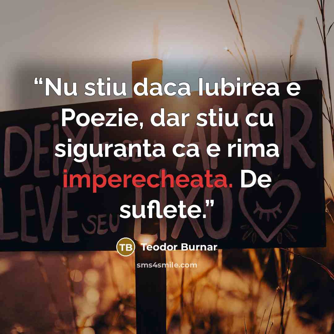 “Nu stiu daca Iubirea e Poezie, dar stiu cu siguranta ca e rima imperecheata. De suflete.” quote by Teodor Burnar