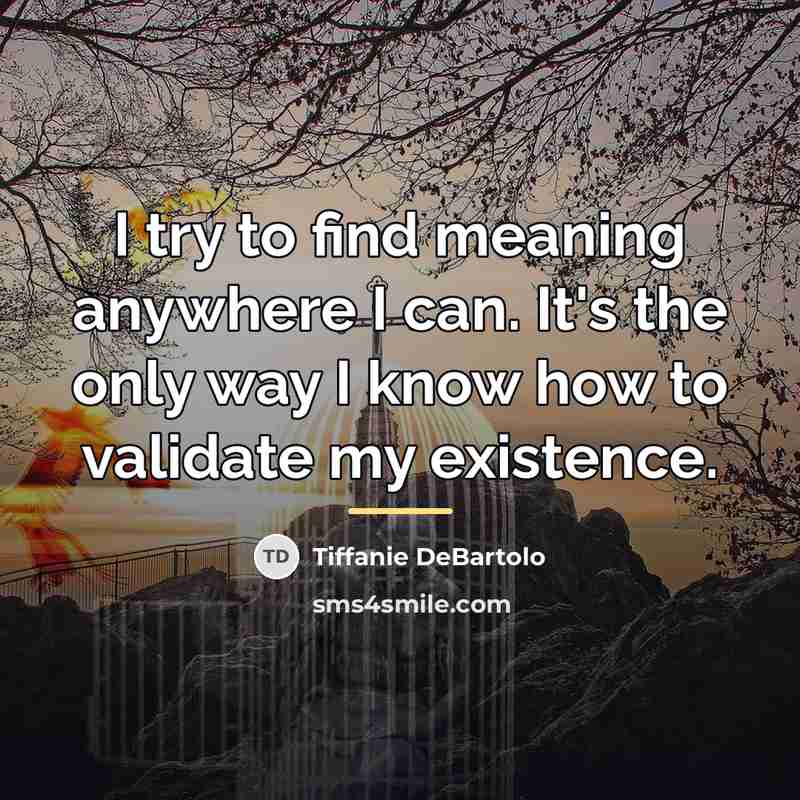 “I try to find meaning anywhere I can. It's the…” quote by Tiffanie DeBartolo