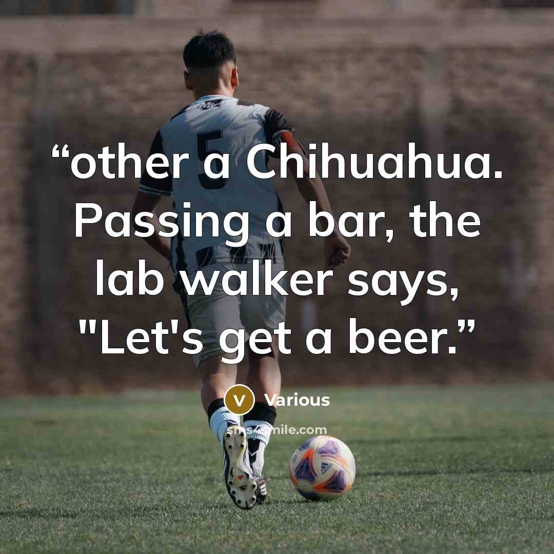 “other a Chihuahua. Passing a bar, the lab walker says, "Let's get a beer.” quote by Various