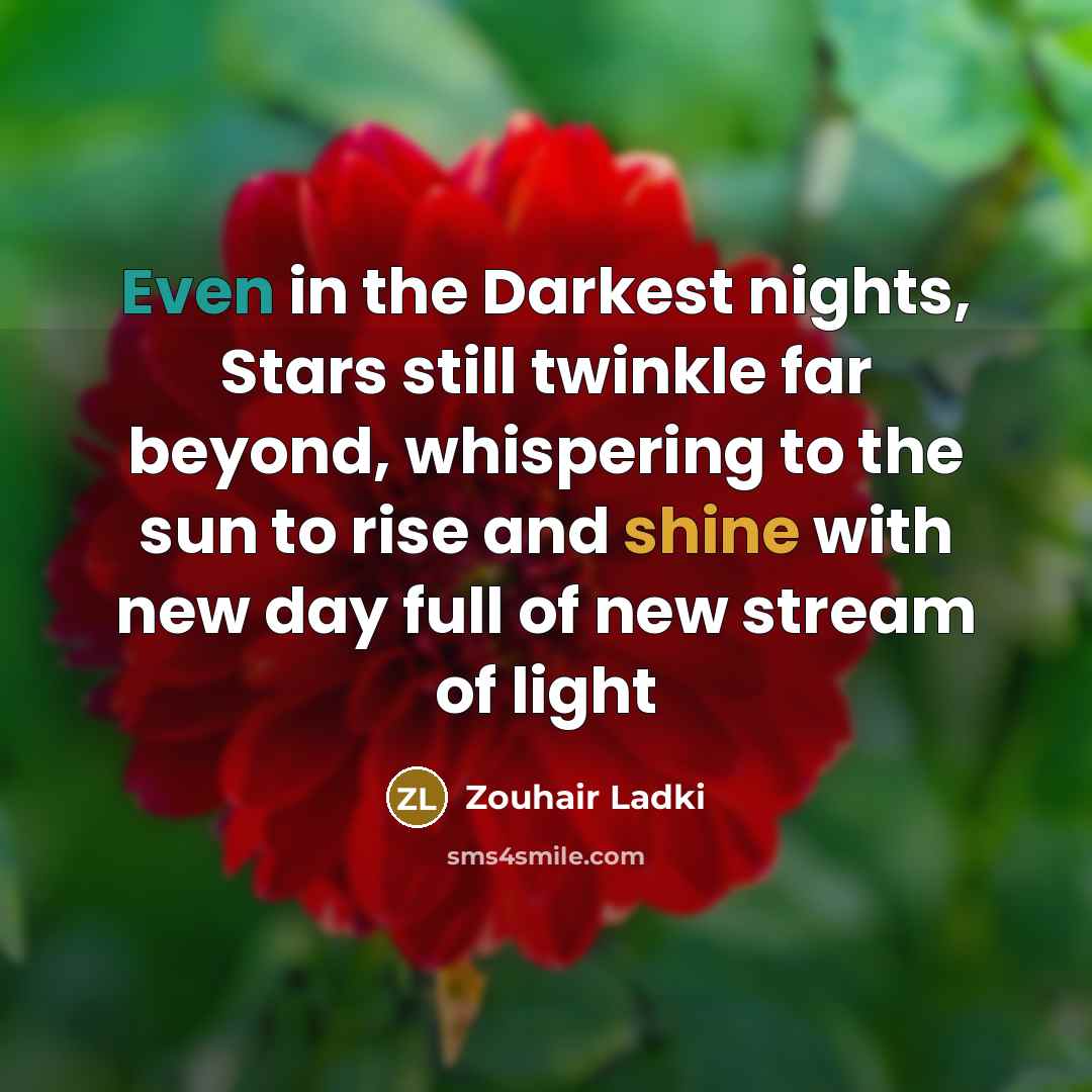 “Even in the Darkest nights, Stars still twinkle far beyond,…” quote by Zouhair Ladki