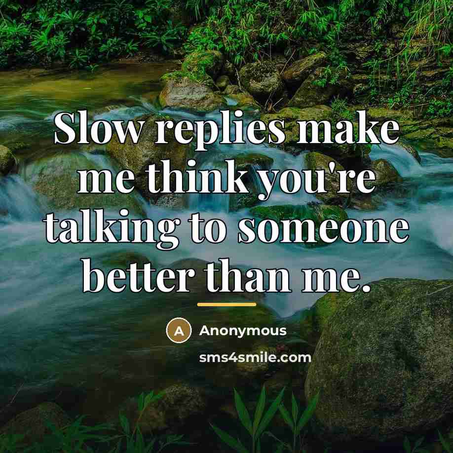 “Slow replies make me think you're talking to someone better…” quote by Anonymous