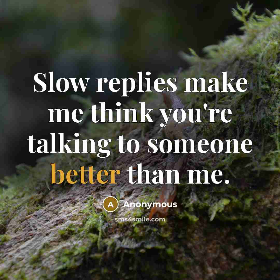 “Slow replies make me think you're talking to someone better than me.” quote by Anonymous
