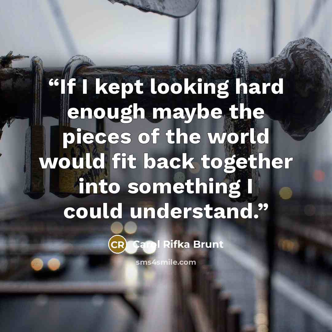“If I kept looking hard enough maybe the pieces of the world would fit back together into something I could understand.” quote by Carol Rifka Brunt